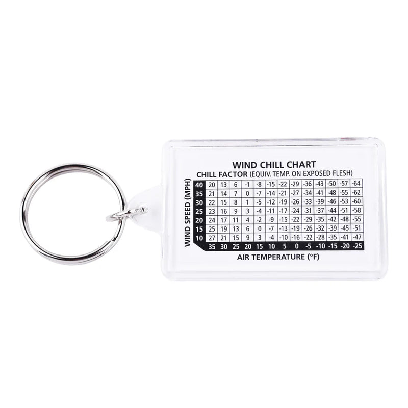 Thermometer and Compass Key Ring