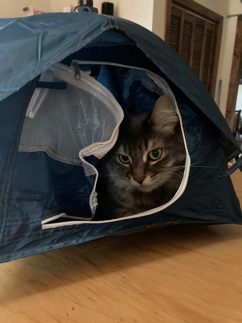 Tiny Tent