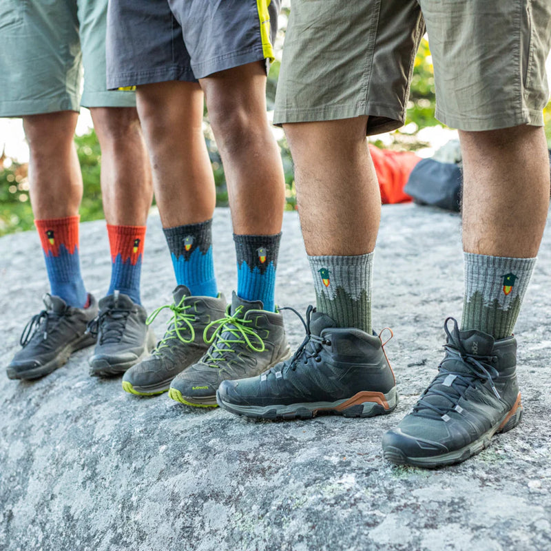 Men's Number 2 Micro Crew Midweight Hiking Sock