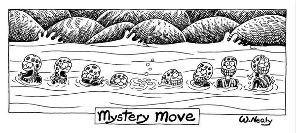 William Nealy Mystery Move Bumper Sticker